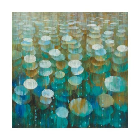 Danhui Nai 'Rain Drops' Canvas Art,35x35